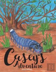 Casey'S Adventure