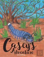 Casey'S Adventure