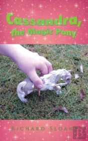 Cassandra, The Magic Pony