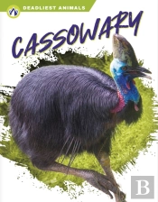 Cassowary