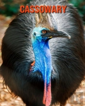 Cassowary