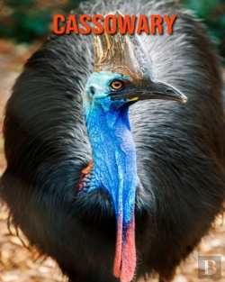 Bertrand.pt - Cassowary