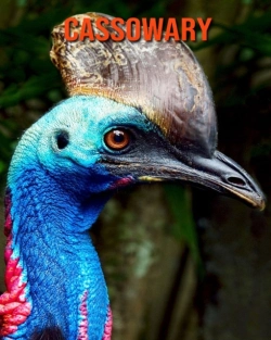 Bertrand.pt - Cassowary