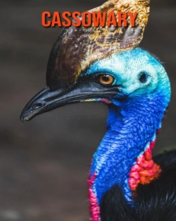 Bertrand.pt - Cassowary