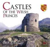 Castles Of The Welsh Princes