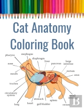 Cat Anatomy Coloring Book
