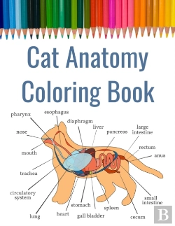 Bertrand.pt - Cat Anatomy Coloring Book