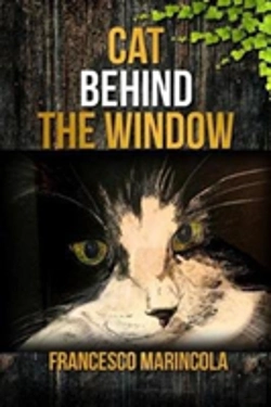 Bertrand.pt - Cat Behind The Window
