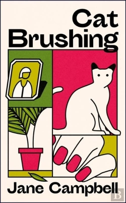 Bertrand.pt - Cat Brushing