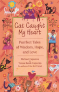 Cat Caught My Heart