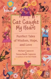 Cat Caught My Heart