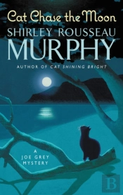 Cat Chase The Moon