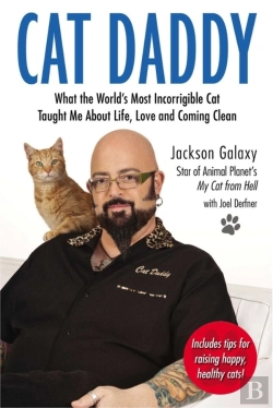 Bertrand.pt - Cat Daddy