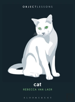 Bertrand.pt - Cat