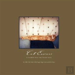 Bertrand.pt - Cat Essence: A Glimpse Into The Feline Soul