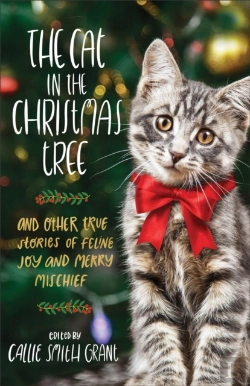 Bertrand.pt - Cat In The Christmas Tree