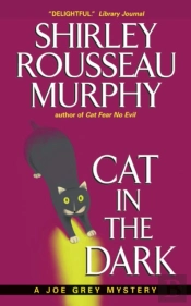 Cat In The Dark