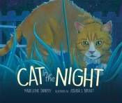 Cat In The Night