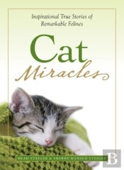 Cat Miracles