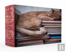 Cat Nap Book Box Puzzle