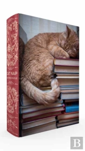 Cat Nap Book Box Puzzle