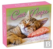 Cat Naps
