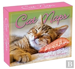 Bertrand.pt - Cat Naps