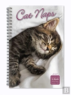 Bertrand.pt - Cat Naps