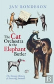 Cat Orchestra And The Elephant Butler
