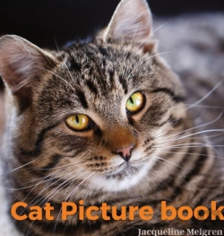 Bertrand.pt - Cat Picture Book: For Adults. Coffee Tab
