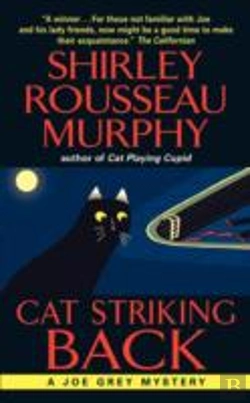 Bertrand.pt - Cat Striking Back