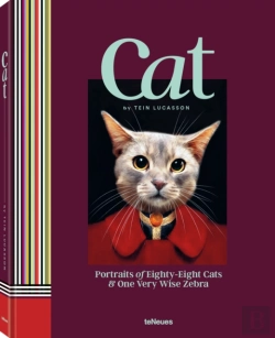 Bertrand.pt - Cat