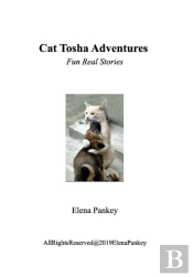 Cat Tosha Adventure