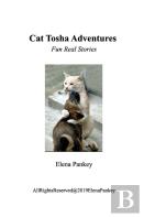 Cat Tosha Adventure