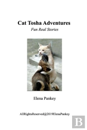 Cat Tosha Adventure