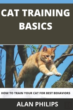 Bertrand.pt - Cat Training Basics