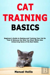 Cat Training Basics