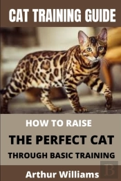 Cat Training Guide