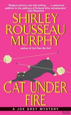 Bertrand.pt - Cat Under Fire