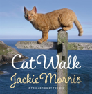 Cat Walk