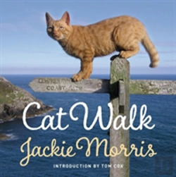Bertrand.pt - Cat Walk
