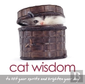 Cat Wisdom