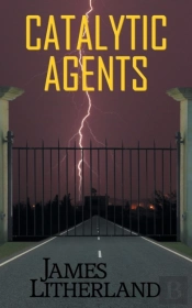 Catalytic Agents