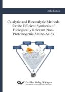 Catalytic And Biocatalytic Methods For The Efficient Synthesis Of Biologically Relevant Non-Proteinogenic Amino Acids
