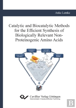 Bertrand.pt - Catalytic And Biocatalytic Methods For The Efficient Synthesis Of Biologically Relevant Non-Proteinogenic Amino Acids