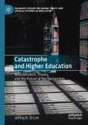 Catastrophe And Higher Education