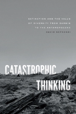 Bertrand.pt - Catastrophic Thinking