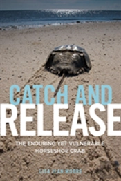 Catch And Release