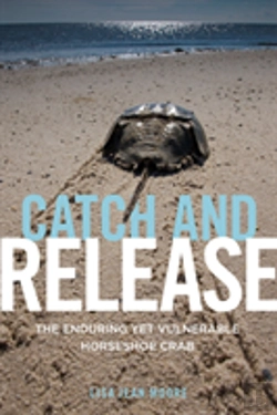 Bertrand.pt - Catch And Release