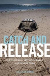 Catch And Release